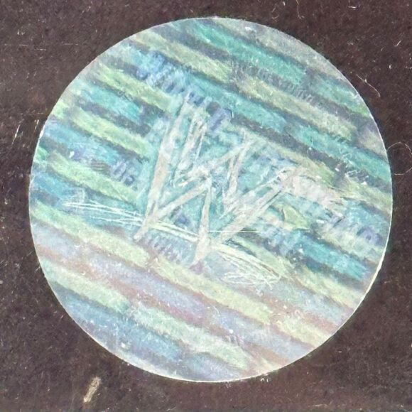 Vintage WWF Stone Cold Steve Austin Signed Framed Photo - Picture 5 of 9